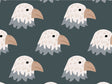 No Sweat Birds Vinyl Wrap Pattern~Rwraps Series 914 Digitally Printed Vinyl Wrap~0