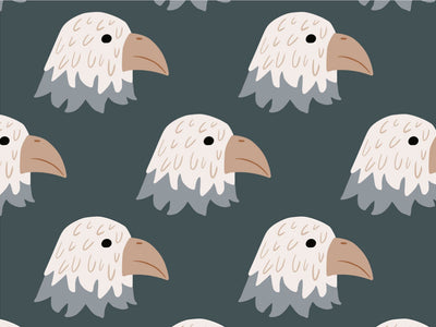 No Sweat Birds Vinyl Wrap Pattern~Rwraps Series 914 Digitally Printed Vinyl Wrap~0