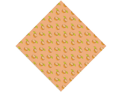Oasis Salvation Fruit Vinyl Wrap Pattern