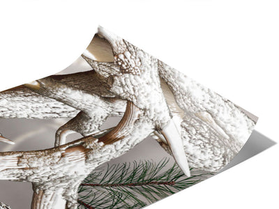 Obliteration Snow Camouflage Vinyl Wraps~Rwraps Series 914 Digitally Printed Vinyl Wrap~0