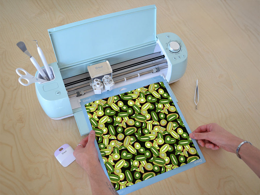 ogden point fruit Cricut Compatible Vinyl
