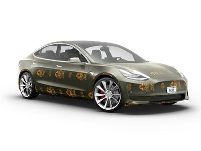 Ominous Omens Birds Vehicle Vinyl Wrap