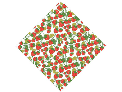 On the Bush Fruit Vinyl Wrap Pattern