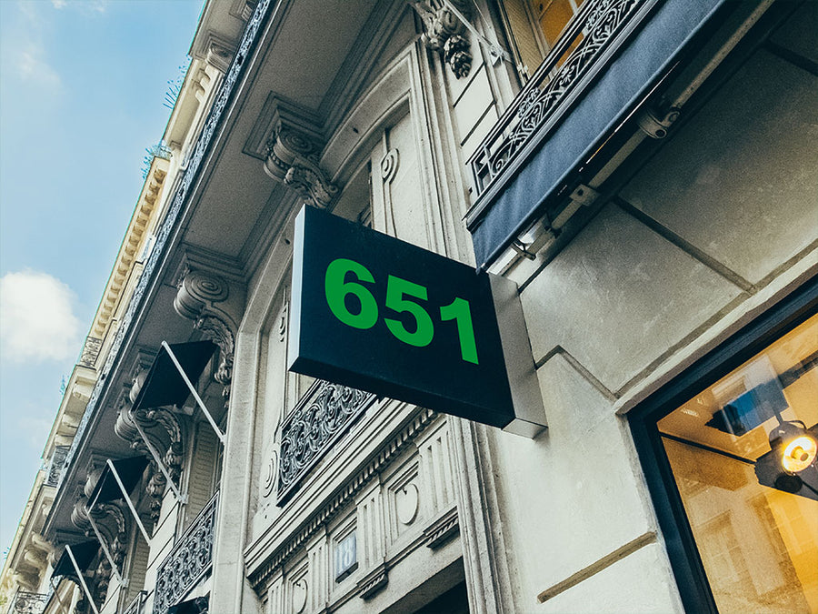 ORACAL 651 Light Green Sign Vinyl