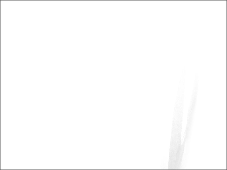ORACAL Transparent Premium Cast Film