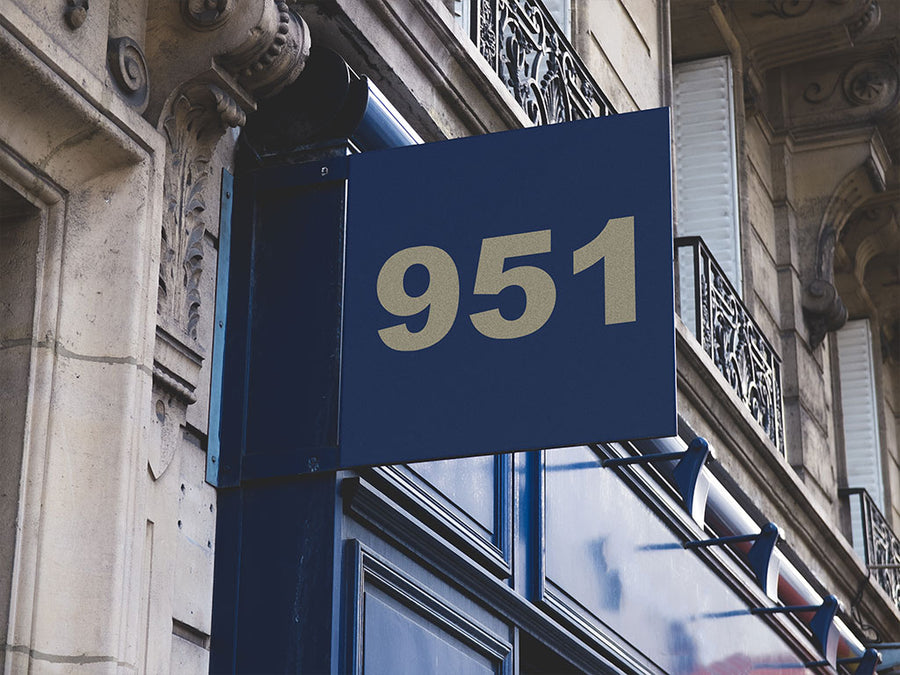 ORACAL Zinc Metallic Premium Sign Vinyl