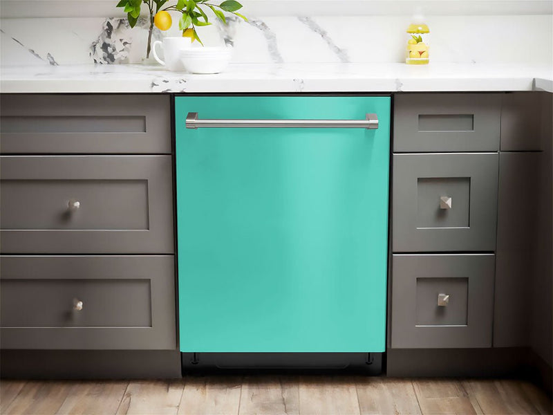 ORACAL® 970RA Matte Mint Dishwasher Wraps