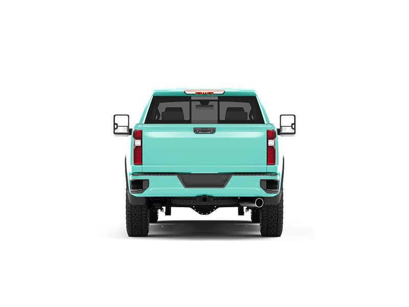 ORACAL 970RA Matte Mint Truck Vinyl Wraps