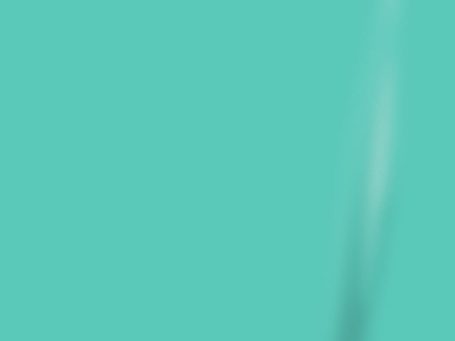 ORACAL 970RA Matte Mint French Door Refrigerator Wrap Color Swatch