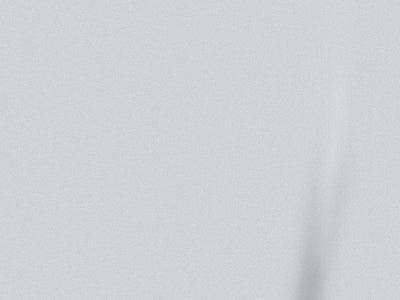 ORACAL® 970RA Trunk Wraps