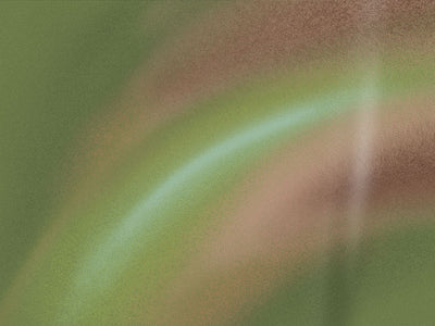 ORACAL 970RA Matte Avocado Premium Wrapping Cast Film