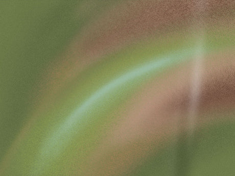 ORACAL 970RA Matte Avocado Premium Wrapping Cast Film