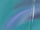 ORACAL® 970RA Wrap Films