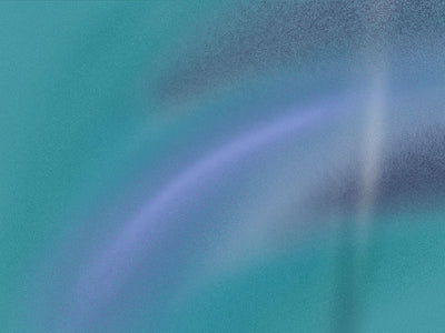 ORACAL® 970RA Side Mirror Wraps