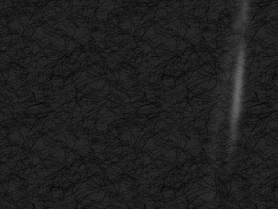 ORACAL 975 Premium Textured Cast Film Cocoon Black Truck Wrap Color Swatch