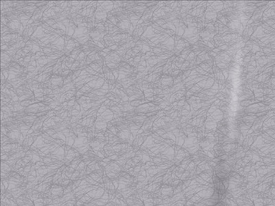 ORACAL 975 Premium Textured Cast Film Cocoon Silver Gray RV Wrap Color Swatch