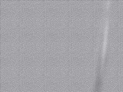 ORACAL 975 Emulsion Silver Gray Kitchen Cabinet Wrap Color Swatch