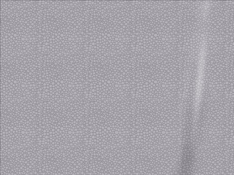 ORACAL 975 Emulsion Silver Gray Premium Structure Cast Film