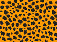 Orange Cheetah Vinyl Wrap Pattern~Rwraps Series 914 Digitally Printed Vinyl Wrap~0