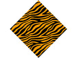 Orange Zebra Vinyl Wrap Pattern