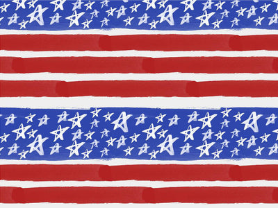 Painted Flag Americana Vinyl Wrap Pattern~Rwraps Series 914 Digitally Printed Vinyl Wrap~0