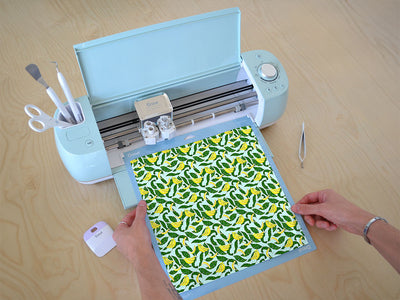 pancake trail fruit Cricut Compatible Vinyl