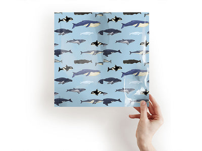 parading along salt water Craft Sheets