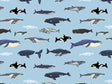 Parading Along Marine Life Vinyl Wrap Pattern~Rwraps Series 914 Digitally Printed Vinyl Wrap~0