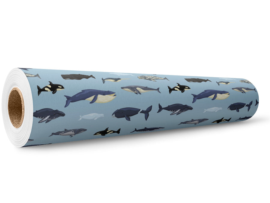 Parading Along Marine Life Wrap Film Wholesale Roll~Rwraps Series 914 Digitally Printed Vinyl Roll~5