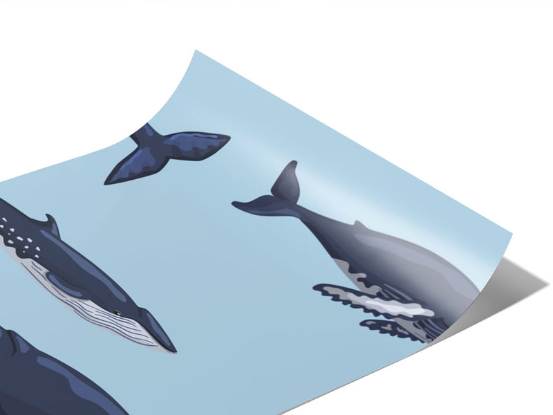 Parading Along Marine Life Vinyl Wraps~Rwraps Series 914 Digitally Printed Vinyl Wrap~0