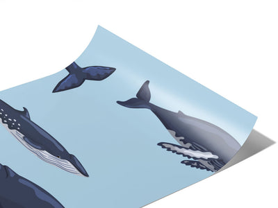 Parading Along Marine Life Vinyl Wraps~Rwraps Series 914 Digitally Printed Vinyl Wrap~0