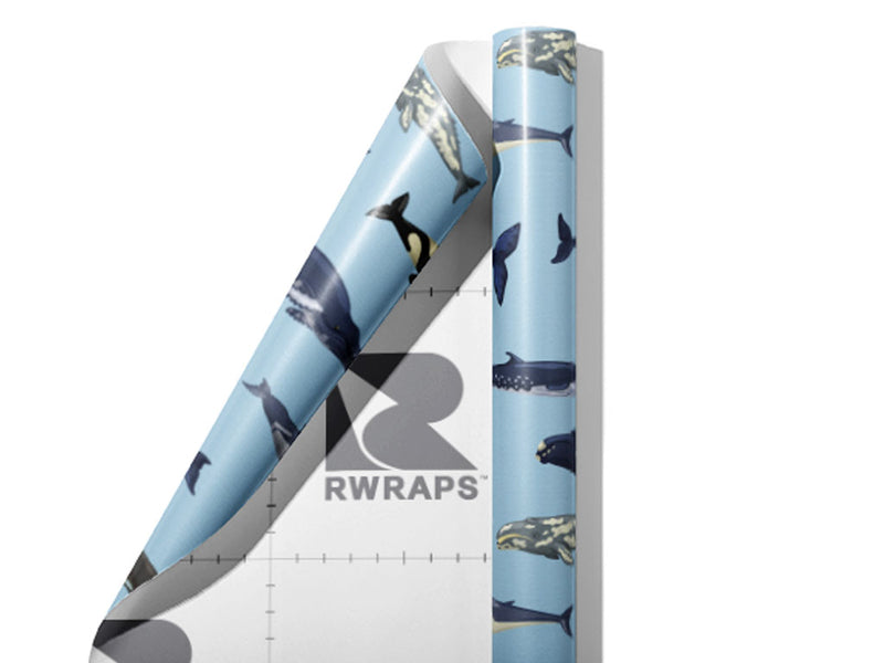 Parading Along Marine Life Wrap Film Sheets~Rwraps Series 914 Parading Along Marine Life Scrolled Sheet~3