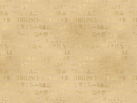 Parchment Hieroglyphs Egyptian Vinyl Wrap Pattern~Rwraps Series 914 Digitally Printed Vinyl Wrap~0