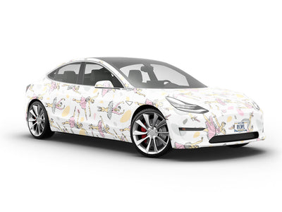 Pastel Practice Hobby Vehicle Vinyl Wrap