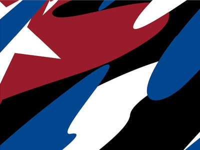 Patriotic Camo Americana Vinyl Wrap Pattern~Rwraps Series 914 Digitally Printed Vinyl Wrap~0