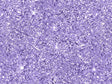 People Eater Gemstone Vinyl Wrap Pattern~Rwraps Series 914 Digitally Printed Vinyl Wrap~0