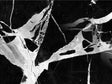 Picasso Black Marble Vinyl Wrap Pattern~Rwraps Series 914 Digitally Printed Vinyl Wrap~0
