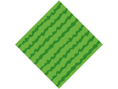 Picnic Rind Fruit Vinyl Wrap Pattern