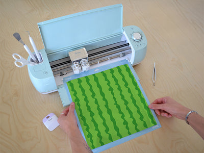 picnic rind fruit Cricut Compatible Vinyl