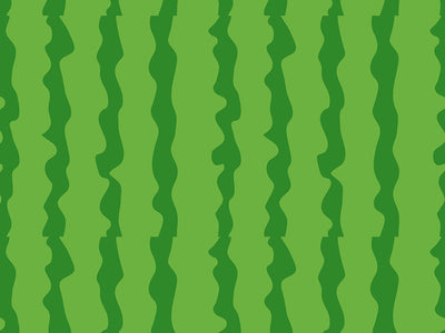Picnic Rind Fruit Vinyl Wrap Pattern~Rwraps Series 914 Digitally Printed Vinyl Wrap~0
