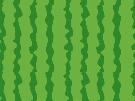 Picnic Rind Fruit Vinyl Wrap Pattern~Rwraps Series 914 Digitally Printed Vinyl Wrap~0