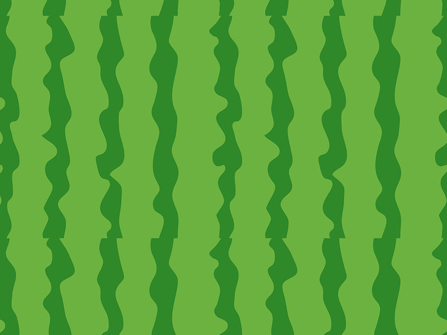 Picnic Rind Fruit Vinyl Wrap Pattern~Rwraps Series 914 Digitally Printed Vinyl Wrap~0