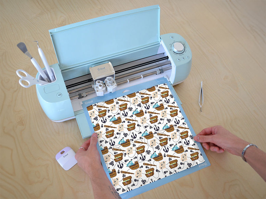 pilfer and plunder pirate Cricut Compatible Vinyl
