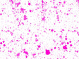 Pink Spill Paint Splatter Vinyl Wrap Pattern~Rwraps Series 914 Digitally Printed Vinyl Wrap~0