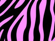 Pink Zebra Vinyl Wrap Pattern~Rwraps Series 914 Digitally Printed Vinyl Wrap~0