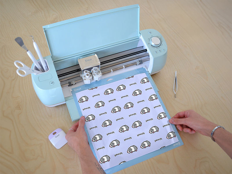 pixel cavy animal Cricut Compatible Vinyl
