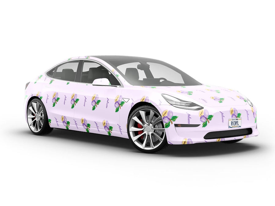 Pluxel  Fruit Vehicle Vinyl Wrap