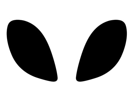 porsche carrera gt 2004-2005 Headlight Tint