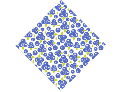 Powder Blue Fruit Vinyl Wrap Pattern