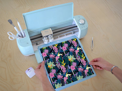 pretty pollinators bird Cricut Compatible Vinyl